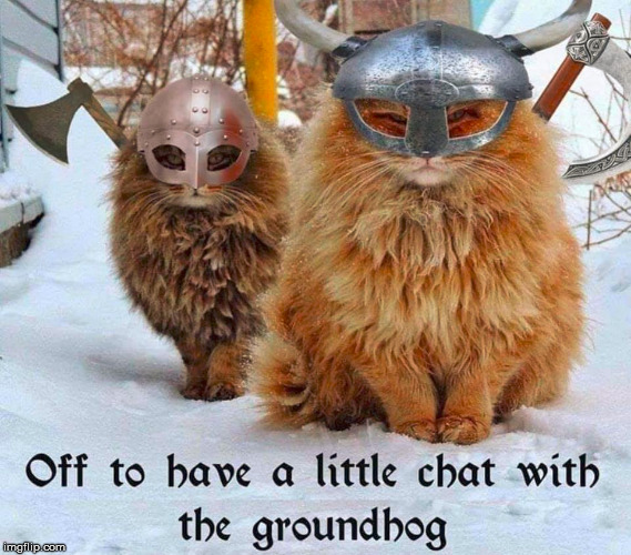 Will A Groundhog Hurt A Cat? Will A Groundhog Hurt A Cat?
