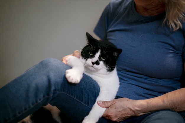Can A Diabetic Cat Eat Hemp Oil And Coconut Oil?