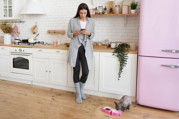 How Long Is It Safe To Leave A Cat Alone?