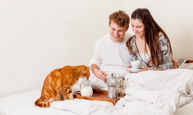 How Much Cat Can Eat?