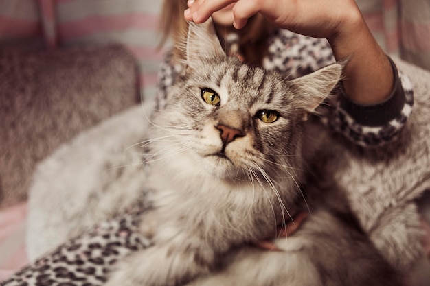 How To Train Your Cat To Eat Less?