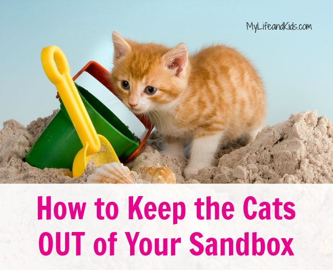How Do I Keep Cats And Animals Out Of My Sandbox?