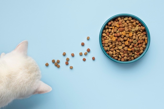 Is Cetaphil Safe For Cats?