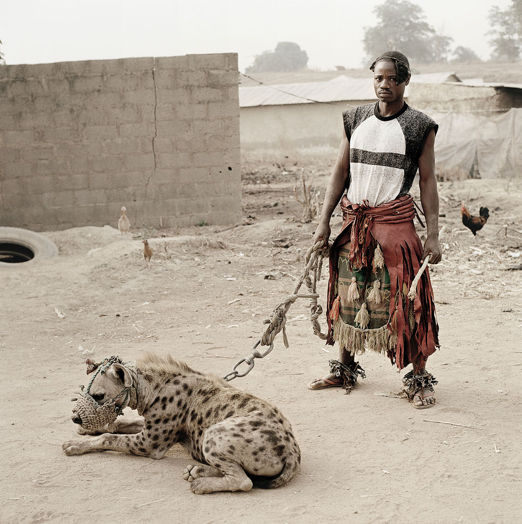 The Truth About Hyaenas: debunking hyaena myths
