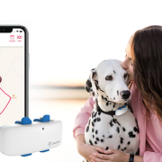 Know About The Working Of The GPS Pet Trackers