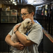 Rescuing A Pet With Health Problems: What You Need To Know
